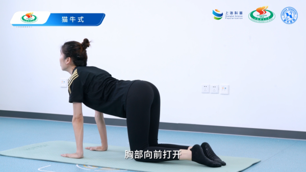 擒牛宝配资 体医科普｜跟练这套脊柱形体操，助青少年远离脊柱侧弯——脊柱牵伸训练