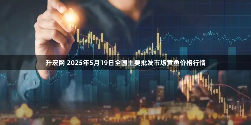 升宏网 2025年5月19日全国主要批发市场黄鱼价格行情