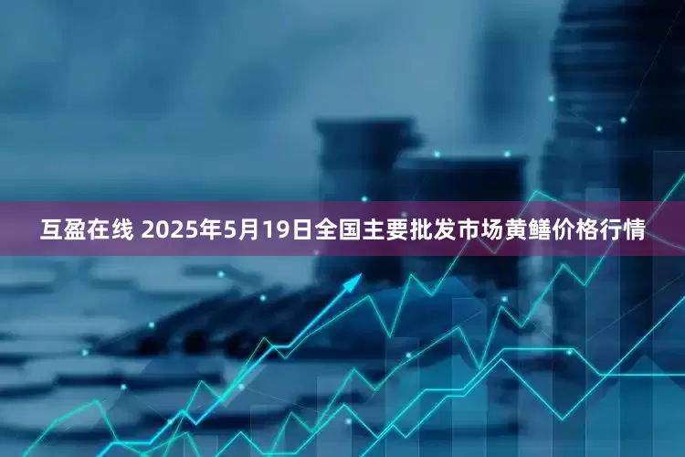 互盈在线 2025年5月19日全国主要批发市场黄鳝价格行情