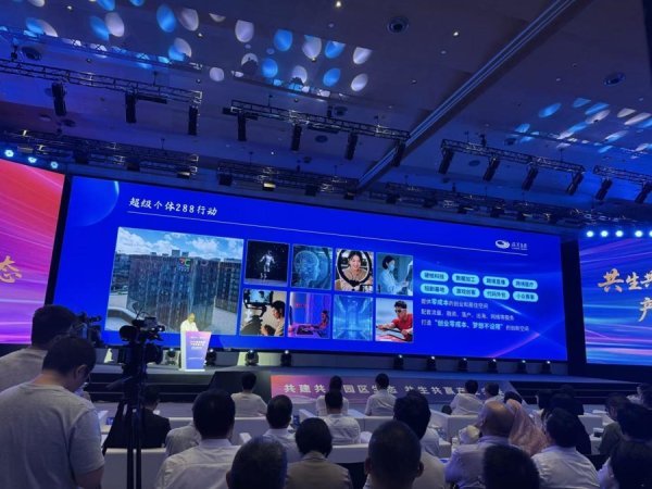 富灯网  20场发布活动密集来袭，临港集团举行产业生态大会