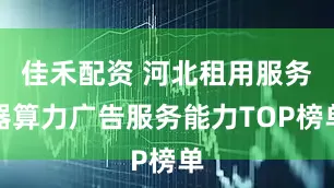 佳禾配资 河北租用服务器算力广告服务能力TOP榜单