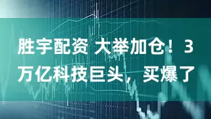 胜宇配资 大举加仓！3万亿科技巨头，买爆了