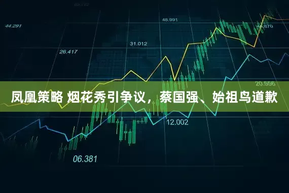 凤凰策略 烟花秀引争议，蔡国强、始祖鸟道歉
