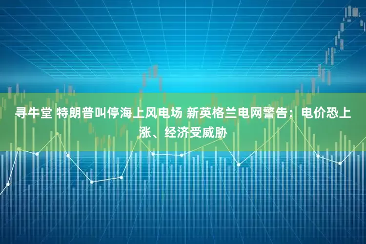 寻牛堂 特朗普叫停海上风电场 新英格兰电网警告：电价恐上涨、经济受威胁